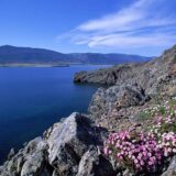 Красоты Байкала - 6 дневный экскурсионный тур