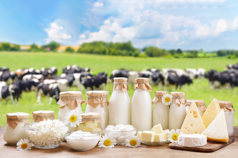 Ферма-парк Илоранта и прогулка по Трын-тропе