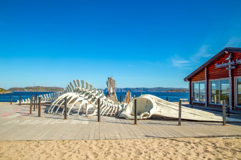 Мурманск - Заполярные приключения