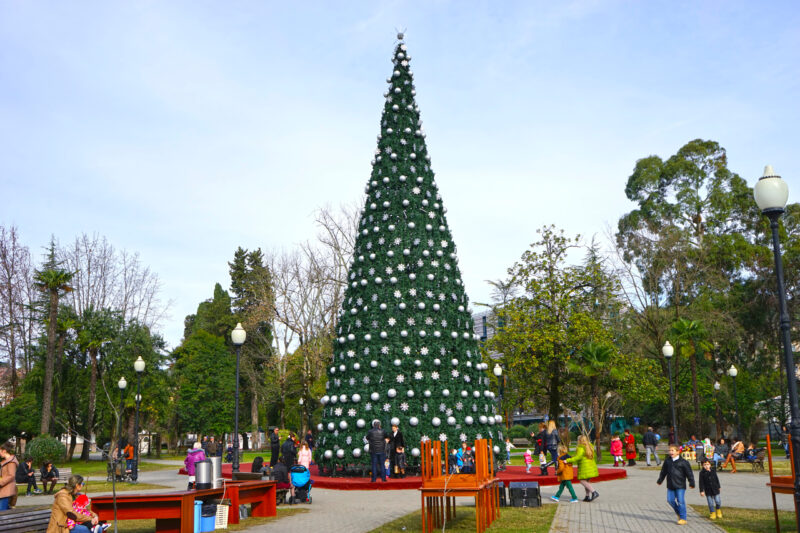 В Абхазию на Новогодние каникулы