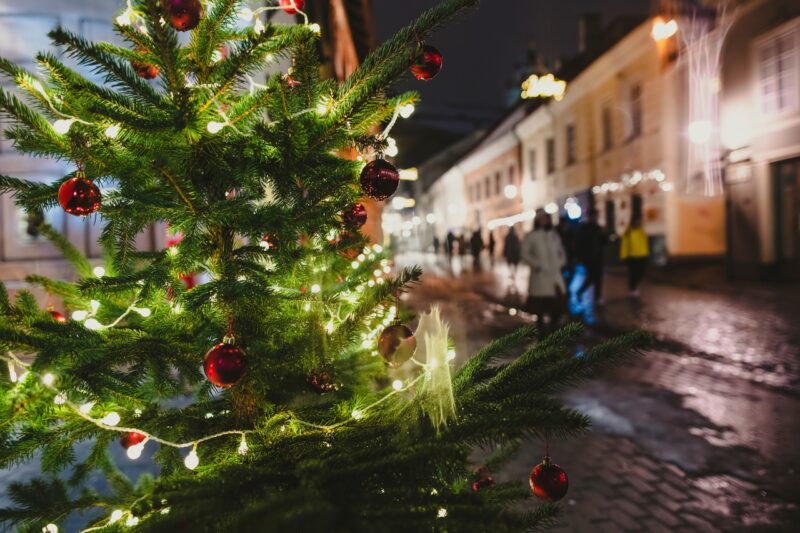 В Выборг на Новогодние каникулы
