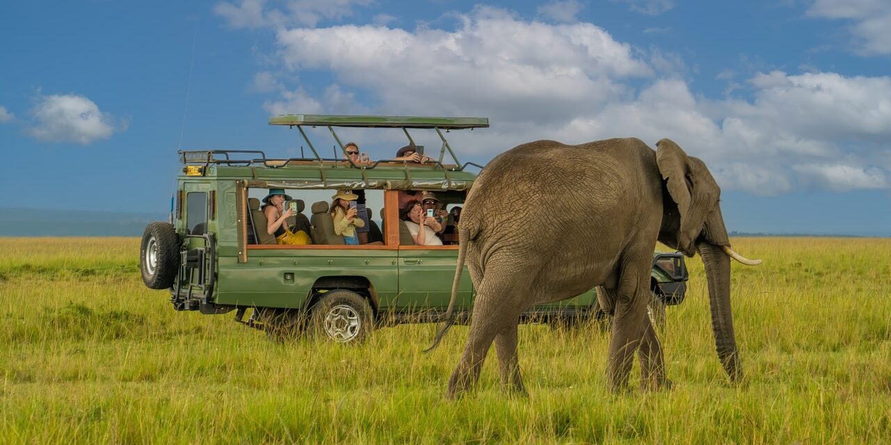 ЮАР: от Кейптауна до сафари