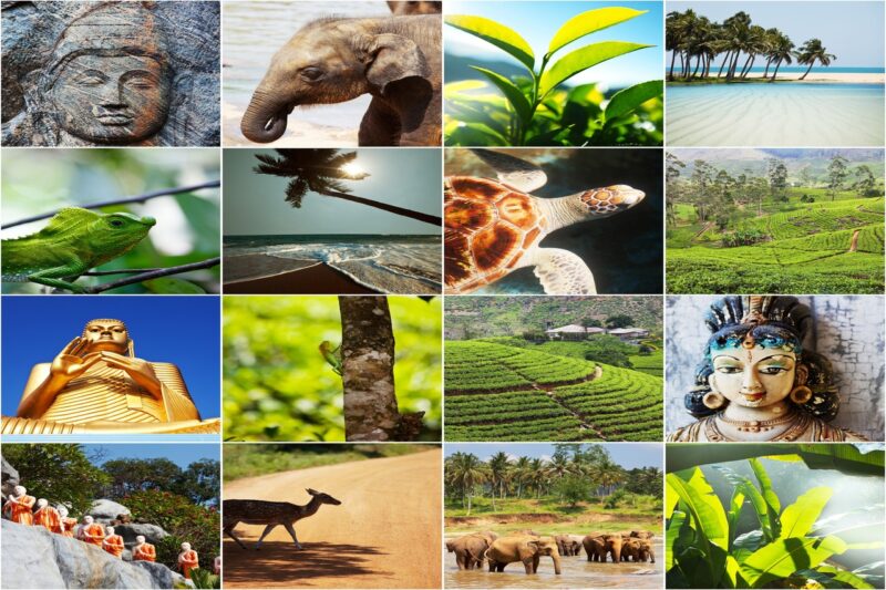 В Шри-Ланку на Рождество