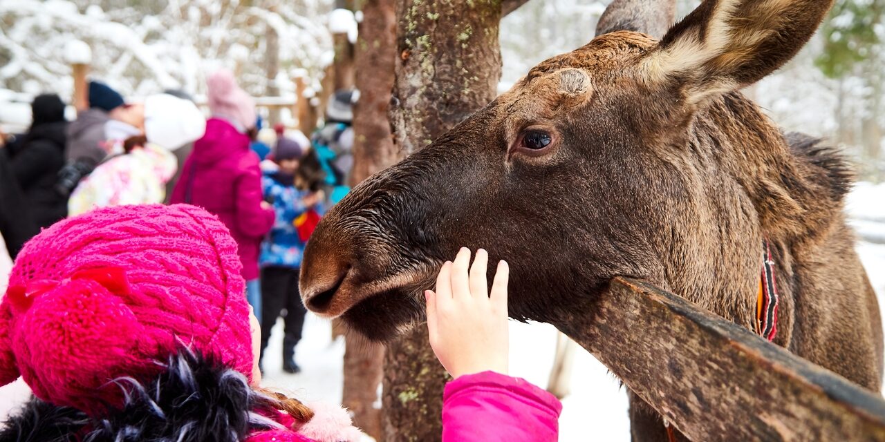 Новогоднее путешествие в Город МастерOFF