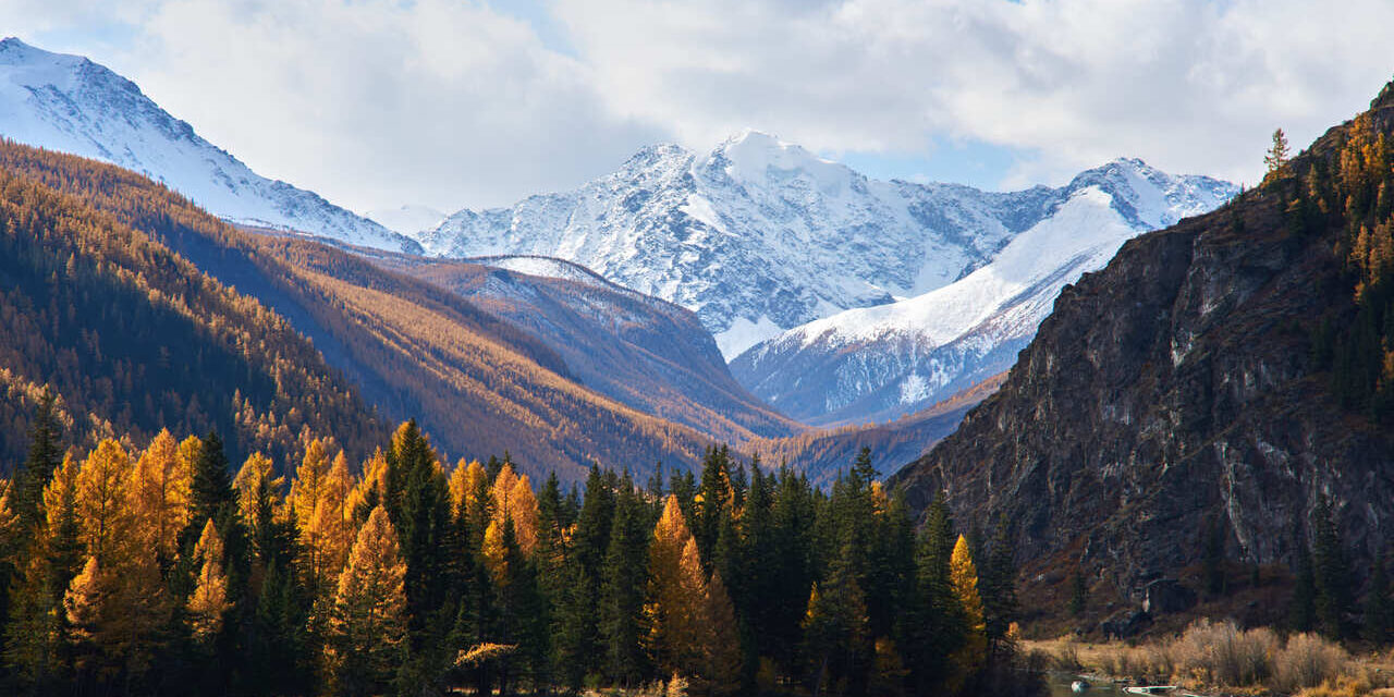 Знакомьтесь Алтай