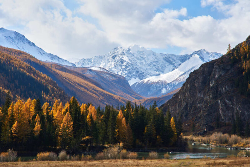 Знакомьтесь Алтай
